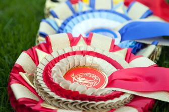 <p>Fina rosetter till placerade hundar på SRRS vinnarlistor.</p>
