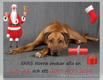 <p>SRRS Norra önskar er alla en God Jul och ett Gott Nytt 2020!</p>
